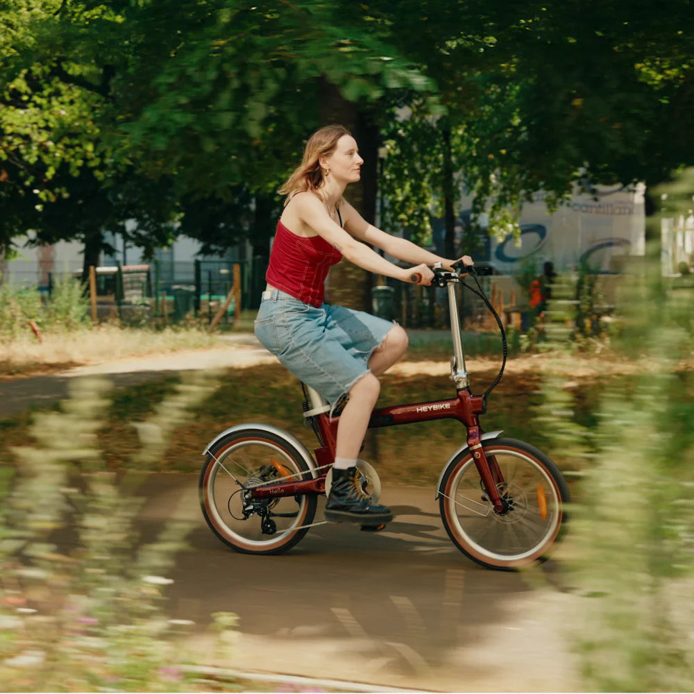 Heybike Helio F – Vintage Edition