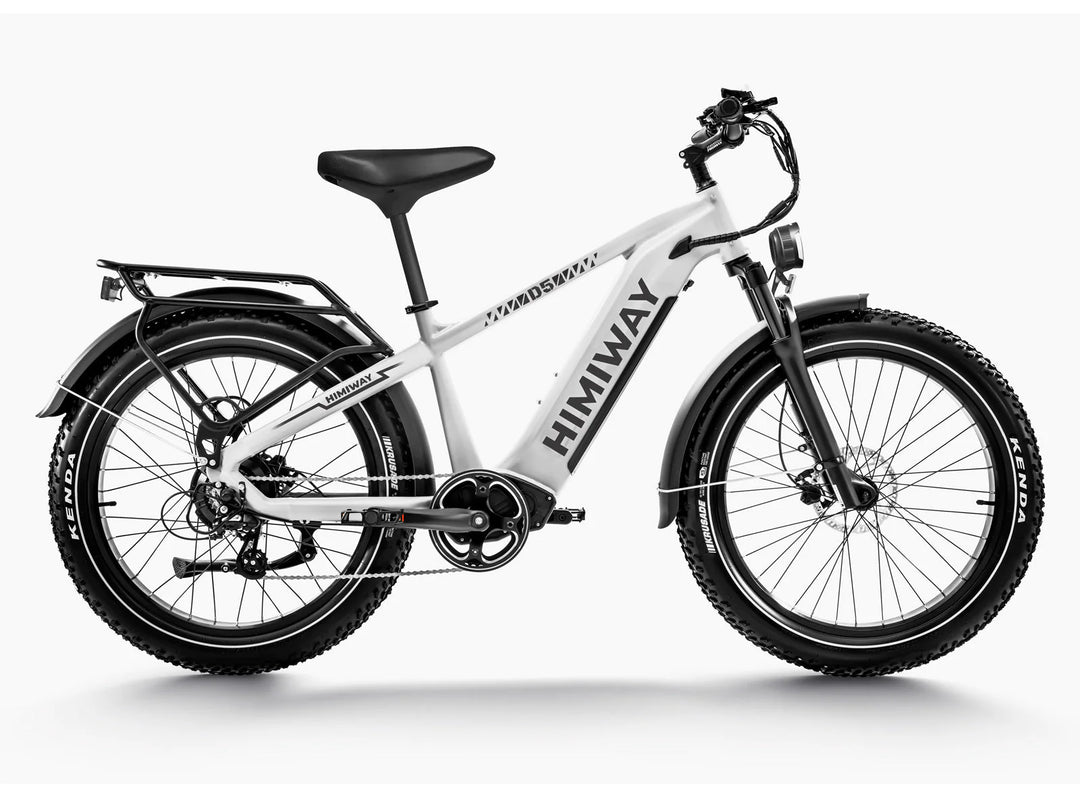 Himiway Zebra D5 Upgrade E-Bike - Fatbike - MabeaMobility