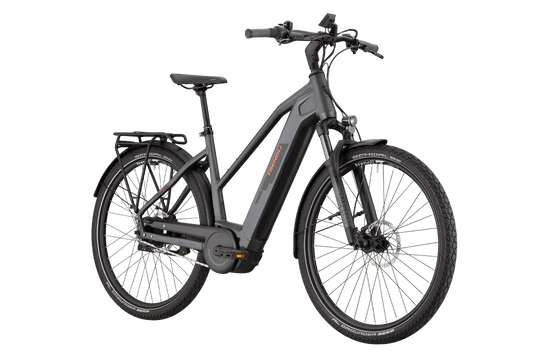 Trenoli Tanaro CX Sportivo T E-Bike