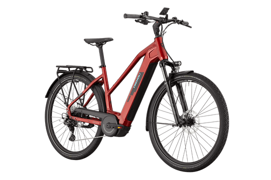 Trenoli Tanaro CX Sportivo T E-Bike
