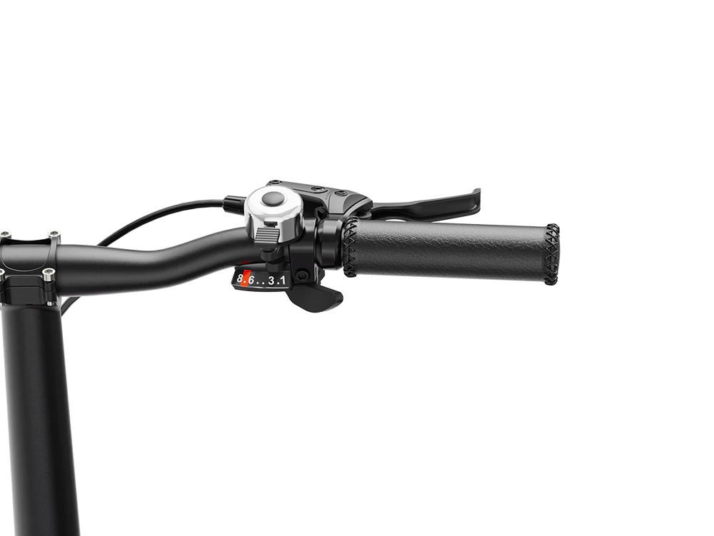 Heybike Helio F– Limitierte Künstler-Edition