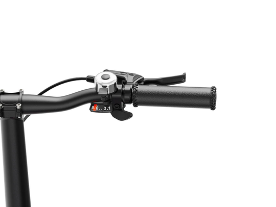 Heybike Helio F– Limitierte Künstler-Edition