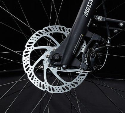 DeRuiz Quartz E-Bike - Einsteiger E-Bike zum Top-Preis - MabeaMobility