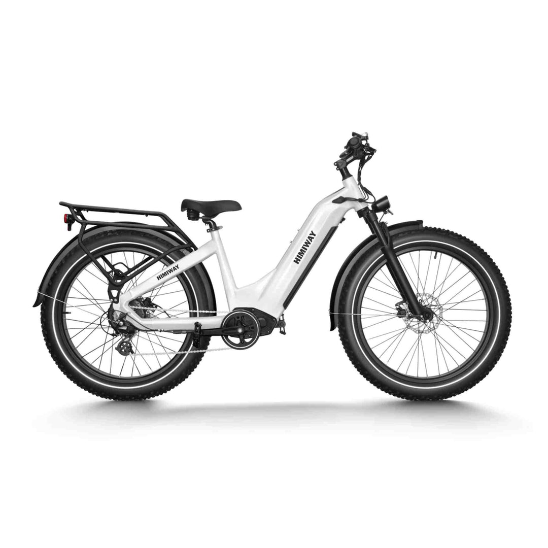 Himiway Zebra - Premium Elektrisches All Terrain Fatbike - MabeaMobility