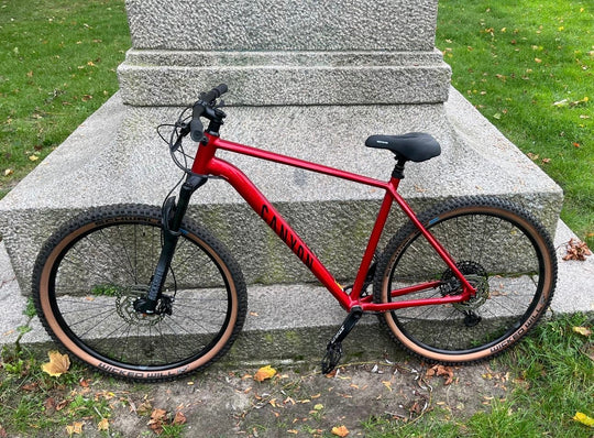 Canyon Mountainbike Mountainbike Hardtail – Rahmengröße XL