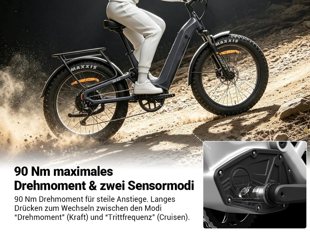 Kombipaket: Himiway D5 2.0 + 20Ah Zusatzakku