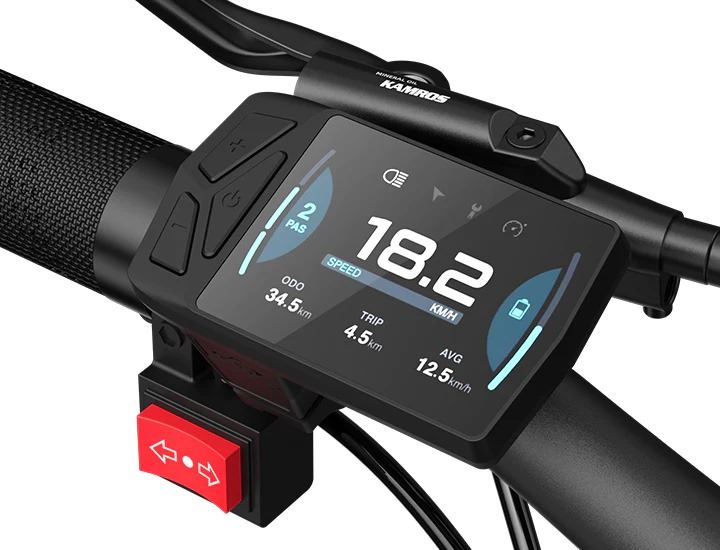 Ado Oasis 260T Cargo E-Bike – MabeaMobility