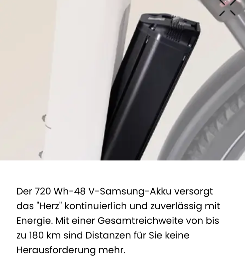 Deruiz Mica Pro - Vorbestellung