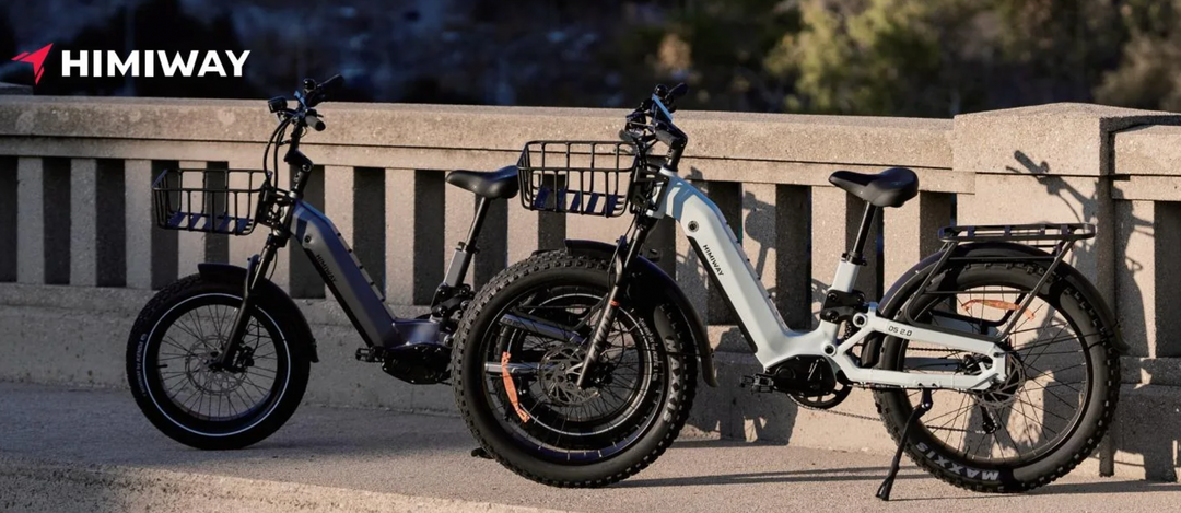 Vorbestellung: Himiway D5 2.0 20"