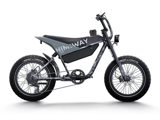 Himiway C5 - elektrisches Fahrrad in Motorradoptik - MabeaMobility