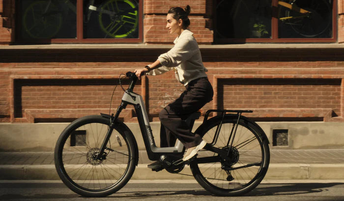 fahrradschloss gepäckträger Trelock Bügelschloss ZB 401 U4 Mini – MabeaMobility