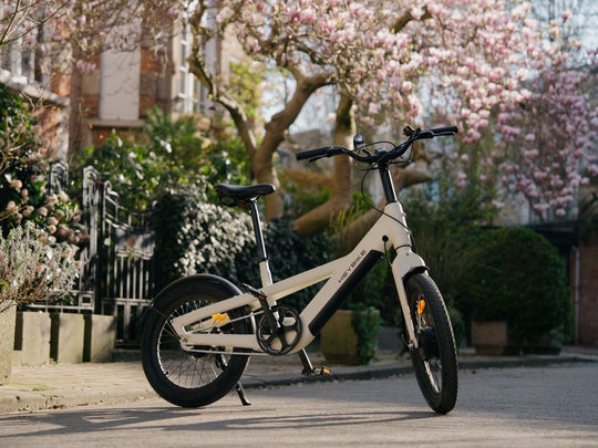 Elektro City Fahrrad