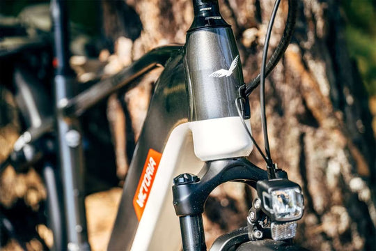 VICTORIA Manoc 3 E-Bike