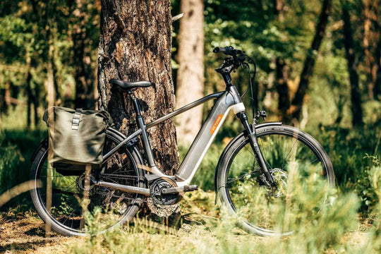 VICTORIA Manoc 3 E-Bike