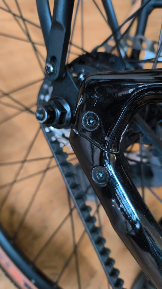 Deruiz Turmali E-Bike mit Riemen - gebrauchtes Vorführmodell - 2 Jahre Garantie