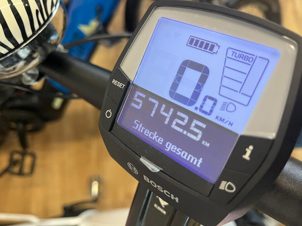 Diamant Beryll weiß Rahmenhöhe L - Gebrauchtes Vorführmodell - 2 Jahre Garantie