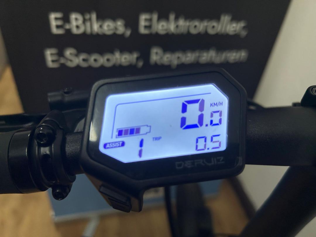 Deruiz Peridot E-Bike blau - Kompaktes E-Faltrad - Vorführrad