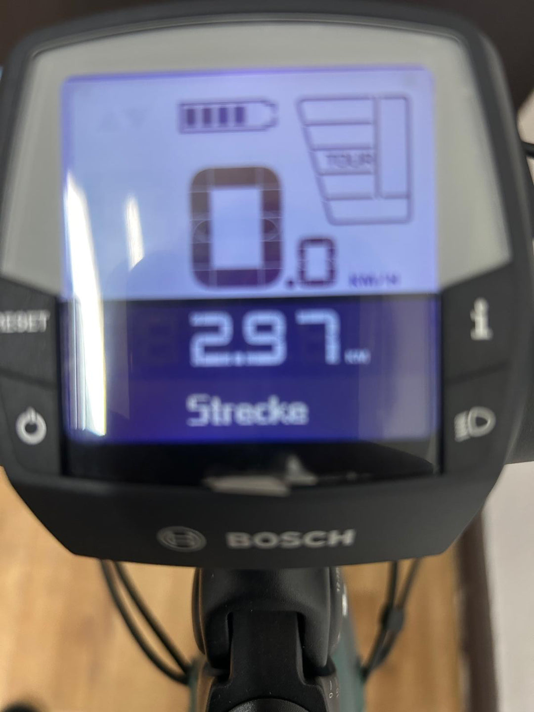 Trenoli Livenza Sportivo M Bosch Trekking E-Bike - Vorführrad