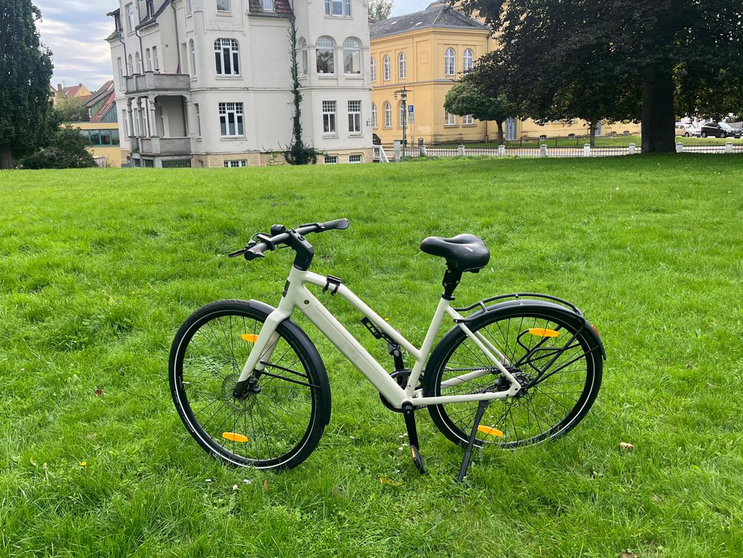 🚲 Deruiz Turmali S 2024 – Beige | 449 km | Rahmengröße 48,5 cm