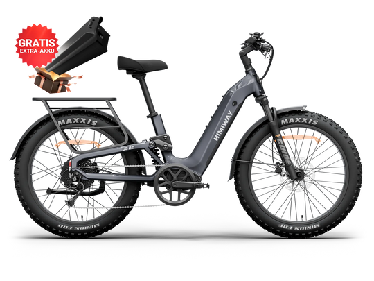 Kombipaket: Himiway D5 2.0 + 20Ah Zusatzakku