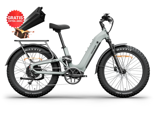 Kombipaket: Himiway D5 2.0 + 20Ah Zusatzakku