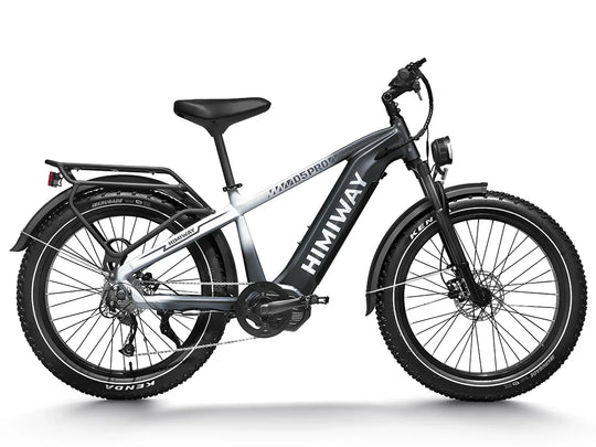 Himiway Zebra D5 Pro - Fatbike mit Mittelmotor