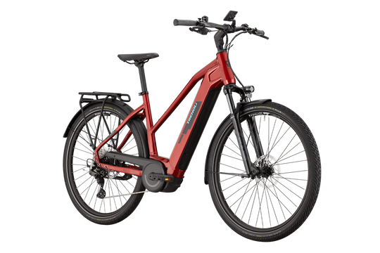 Trenoli Tanaro CX Sportivo T – Trekking-E-Bike für Alltag & Tour