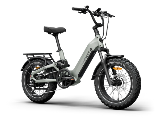 Vorbestellung: Himiway D5 2.0 20"