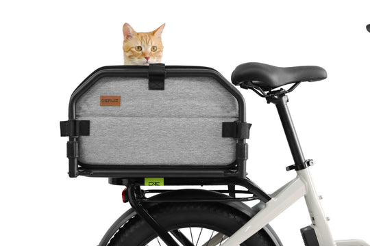 Fahrrad Transporttasche