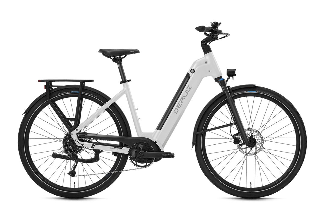 einsteiger e bike mountainbike Deruiz Mica G Trekking E-Bike