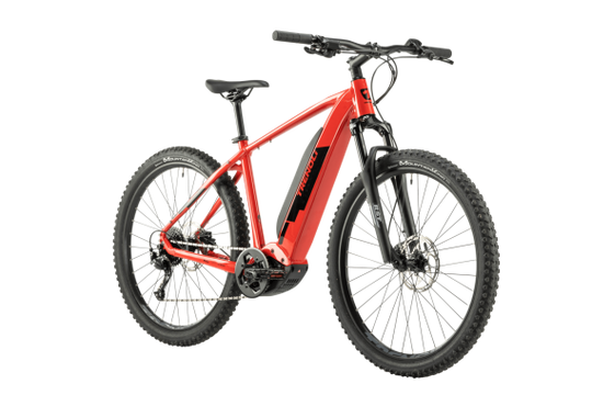 Trenoli Montubo E-MTB 29"
