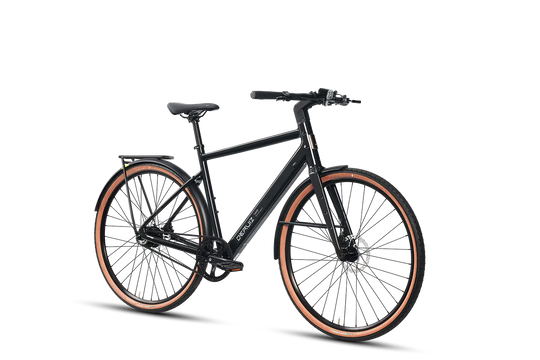 Deruiz Turmali M/L 2026 – Leichtes Urban E-Bike mit Stil und Charakter