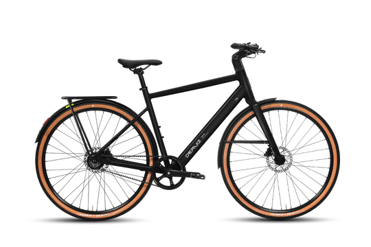 Deruiz Turmali M/L 2026 – Leichtes Urban E-Bike mit Stil und Charakter