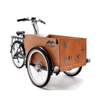 Laden Sie das Bild in den Galerie-Viewer, Cangoo Easy E - modernes E-Lastenrad mit einer großen Transportbox - MabeaMobility