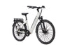 Laden Sie das Bild in den Galerie-Viewer, DeRuiz Quartz E-Bike - Einsteiger E-Bike zum Top-Preis - MabeaMobility