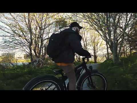 Himiway Cruiser - All Terrain E-Bike