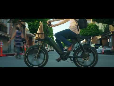 Himiway Escape Pro - Moped E-Bike