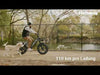 Laden und spielen Sie das Video im Galerie-Viewer ab, Himiway Big Dog - Elektrisches Lastenfahrrad